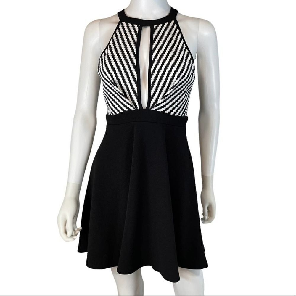 Manito Fit and Flare Cocktail Dress